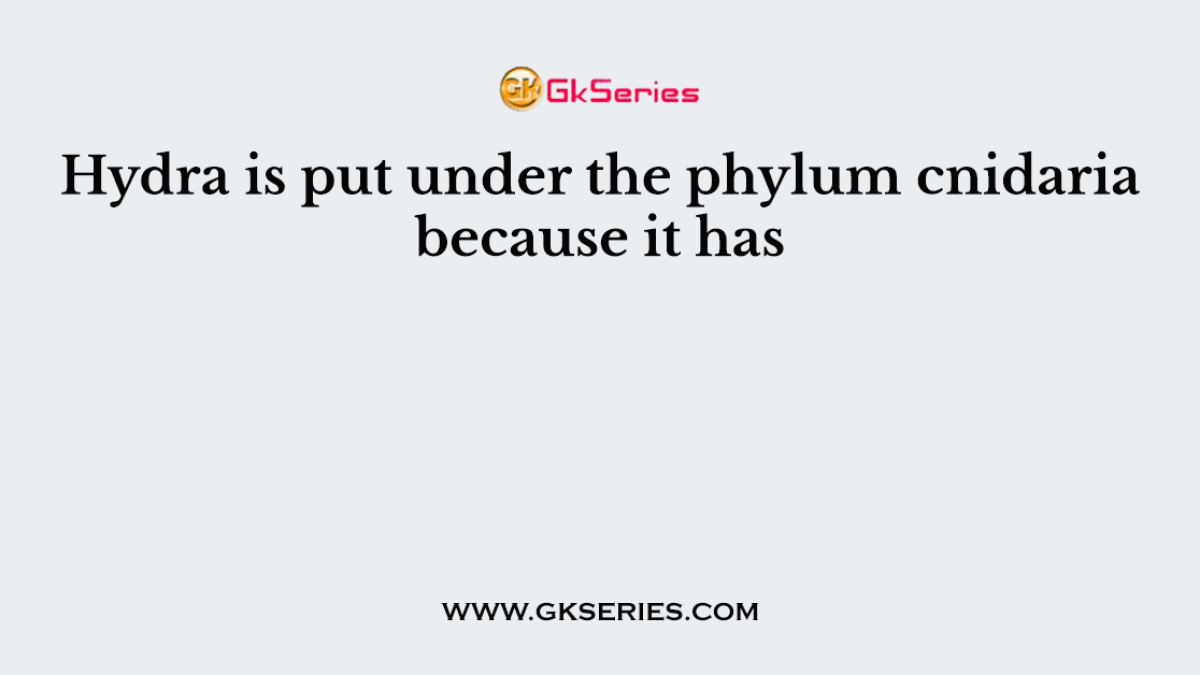 Hydra is put under the phylum cnidaria because it has