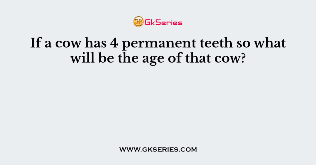 If a cow has 4 permanent teeth so what will be the age of that cow?
