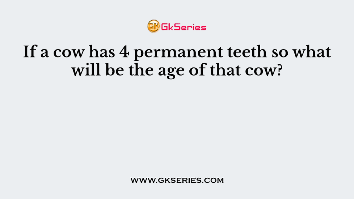 If a cow has 4 permanent teeth so what will be the age of that cow?