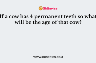 If a cow has 4 permanent teeth so what will be the age of that cow?