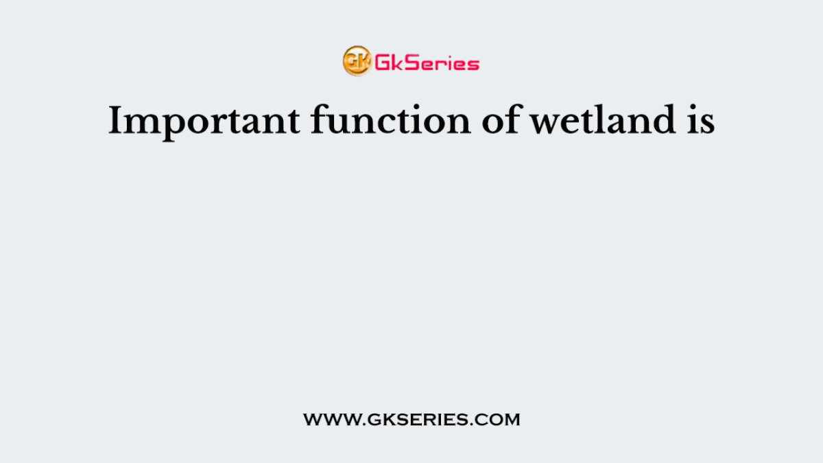 Important function of wetland is