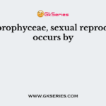 In Chlorophyceae, sexual reproduction occurs by