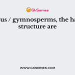 In Pinus / gymnosperms, the haploid structure are
