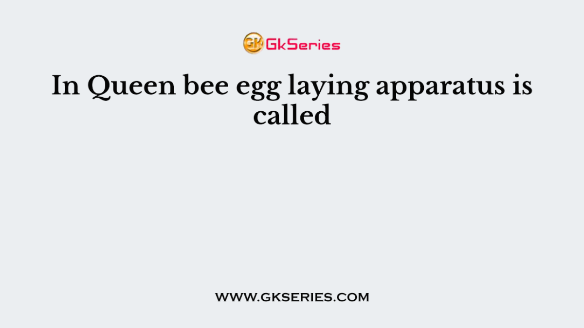 In Queen bee egg laying apparatus is called