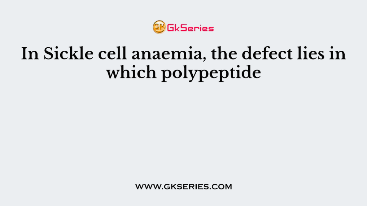 In Sickle cell anaemia, the defect lies in which polypeptide