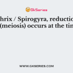 In Ulothrix / Spirogyra, reduction division (meiosis) occurs at the time of