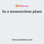In a monoecious plant