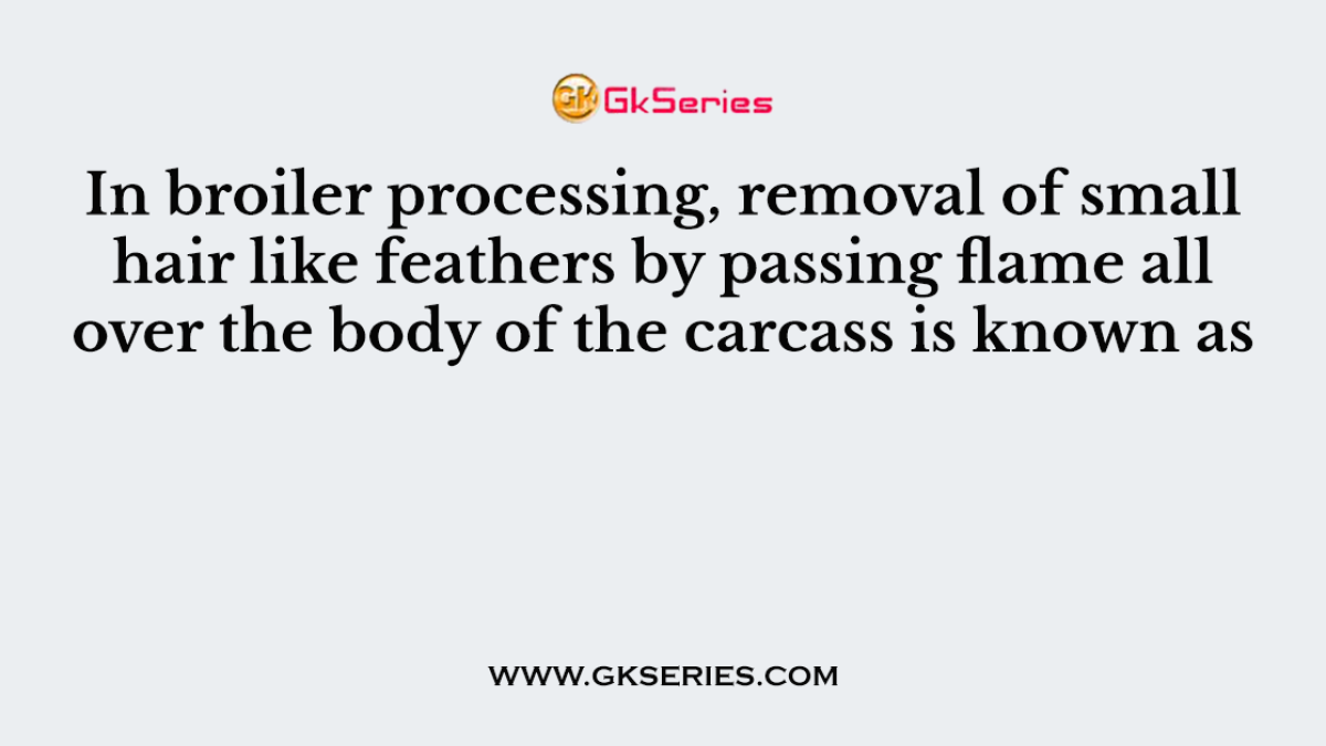 In broiler processing, removal of small hair like feathers by passing flame all over the body of the carcass is known as