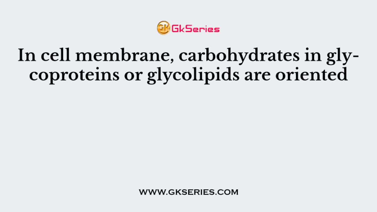 In cell membrane, carbohydrates in glycoproteins or glycolipids are oriented
