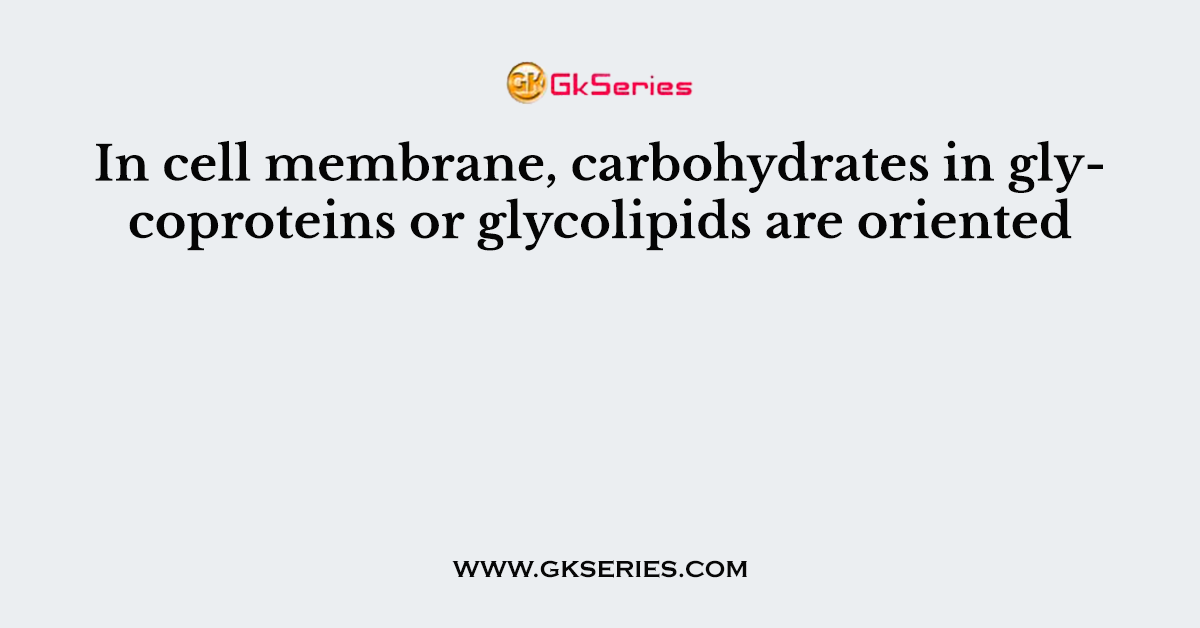 In cell membrane, carbohydrates in glycoproteins or glycolipids are oriented