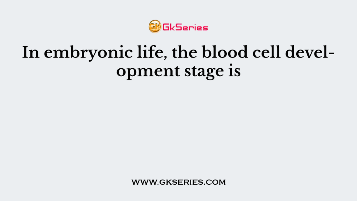 In embryonic life, the blood cell development stage is