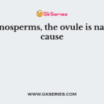 In gymnosperms, the ovule is naked because