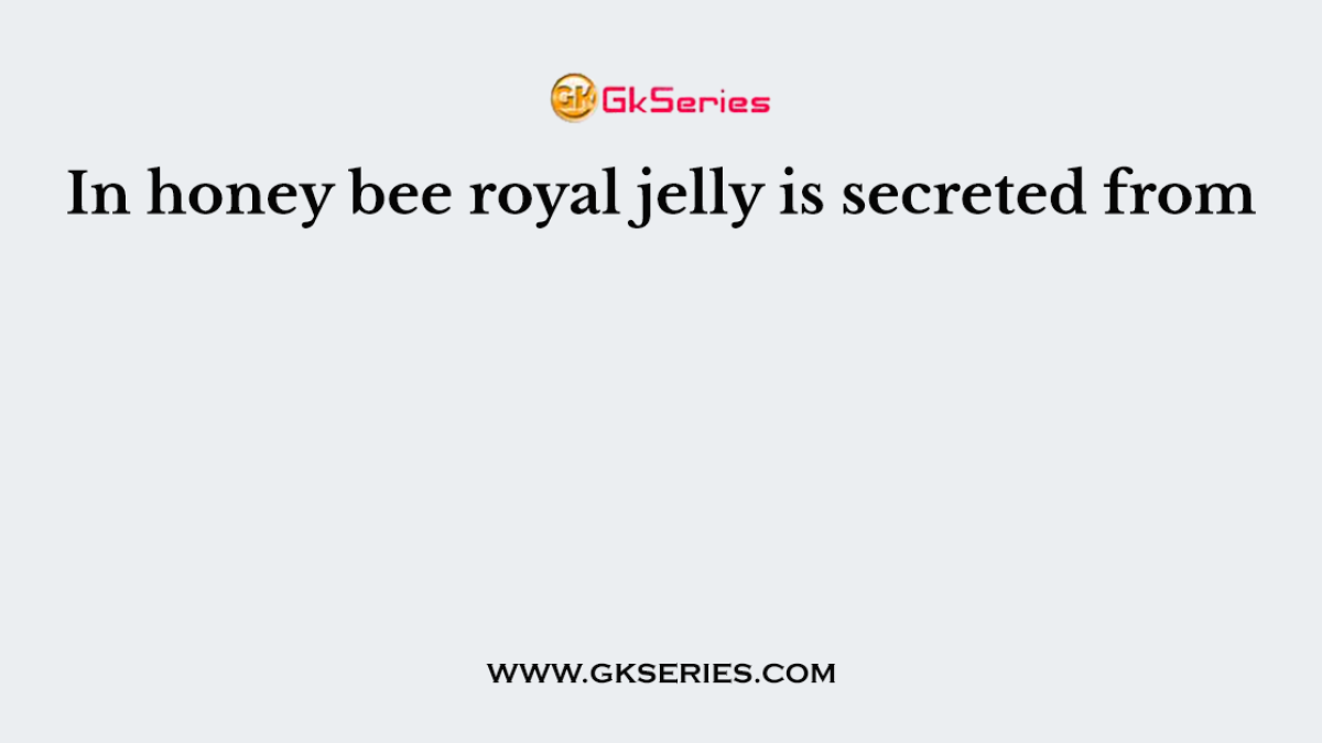 In honey bee royal jelly is secreted from