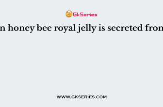 In honey bee royal jelly is secreted from
