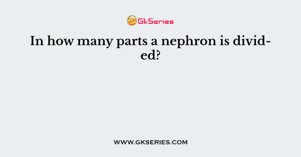 In how many parts a nephron is divided?