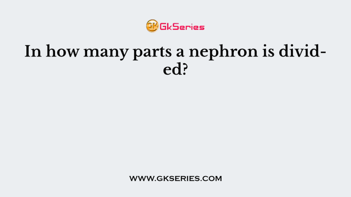 In how many parts a nephron is divided?