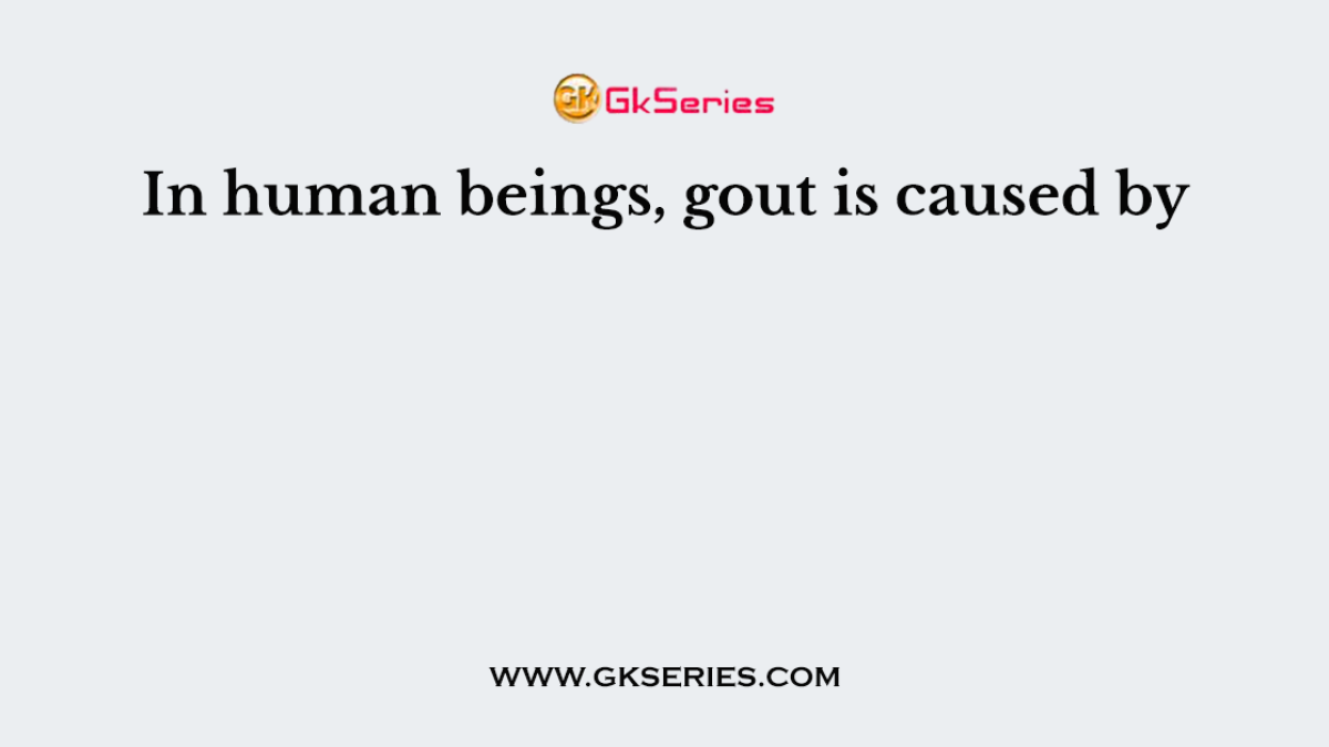 In human beings, gout is caused by