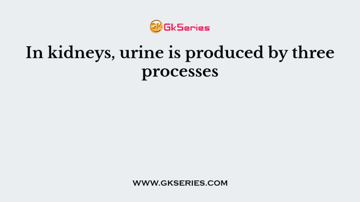 In kidneys, urine is produced by three processes