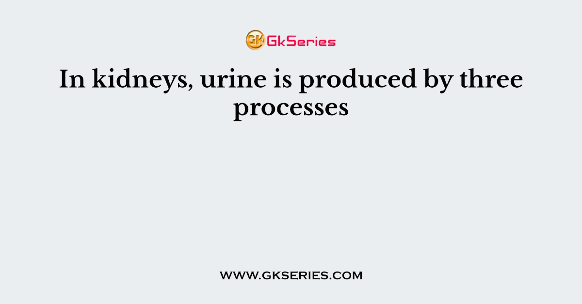 In kidneys, urine is produced by three processes