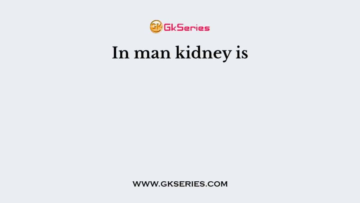 In man kidney is