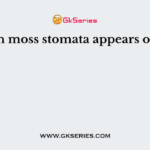 In moss stomata appears on