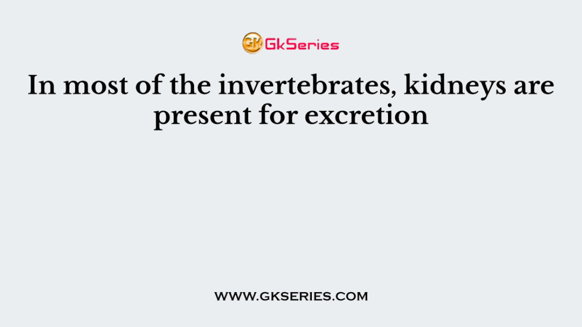 In most of the invertebrates, kidneys are present for excretion