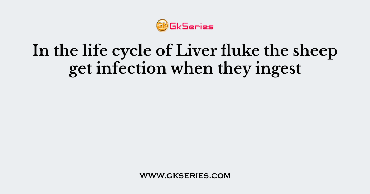 In the life cycle of Liver fluke the sheep get infection when they ingest