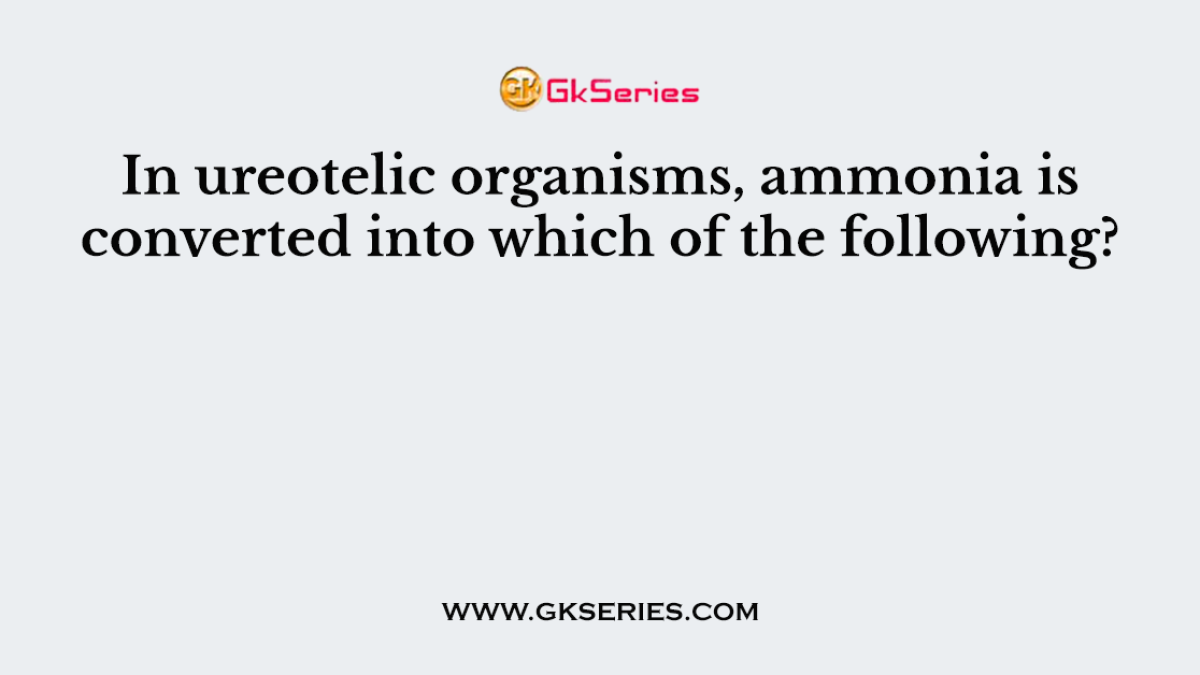 In ureotelic organisms, ammonia is converted into which of the following?