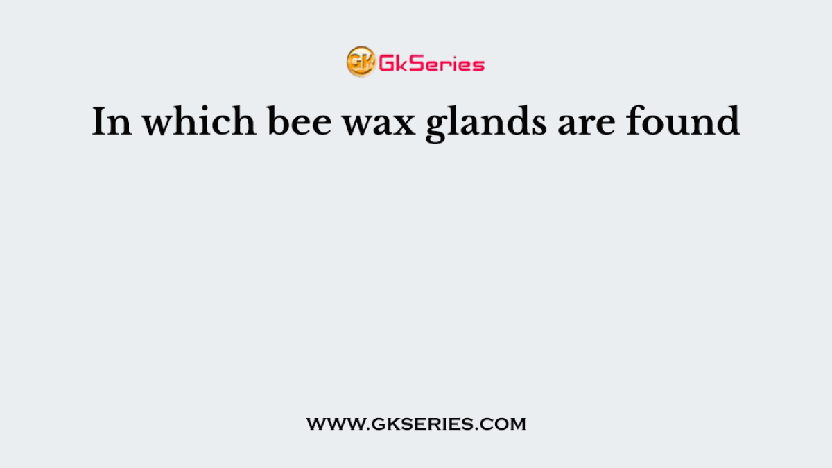 In which bee wax glands are found