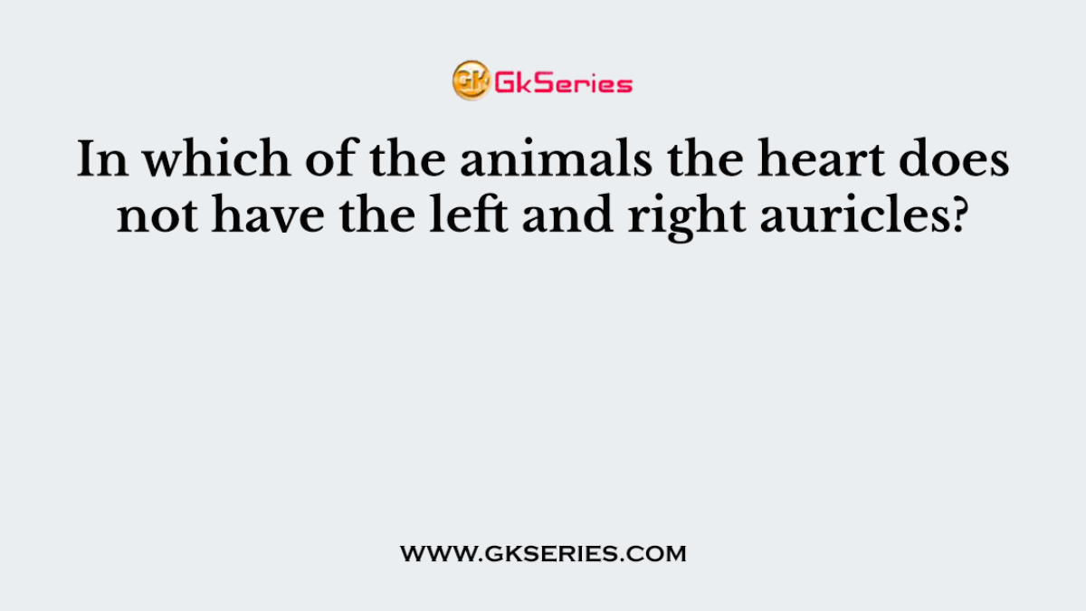 In which of the animals the heart does not have the left and right auricles?