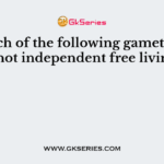 In which of the following gametophyte is not independent free living?