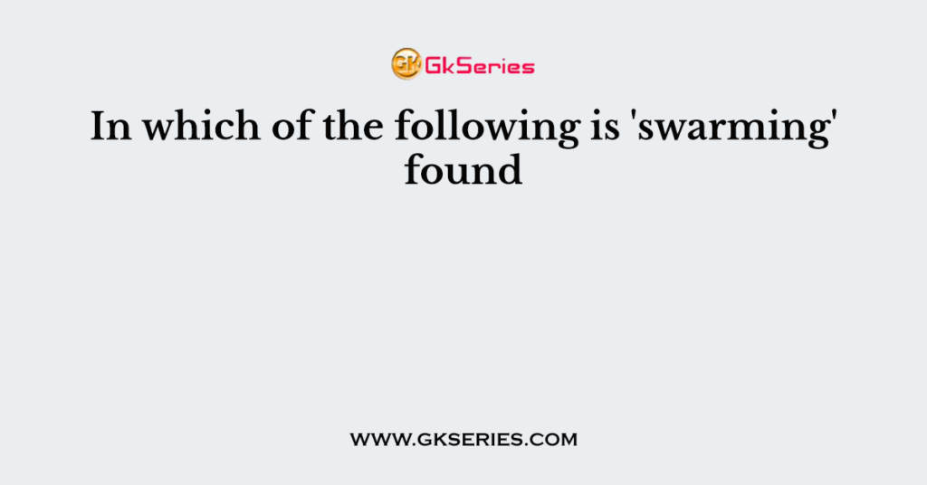 In which of the following is 'swarming' found 