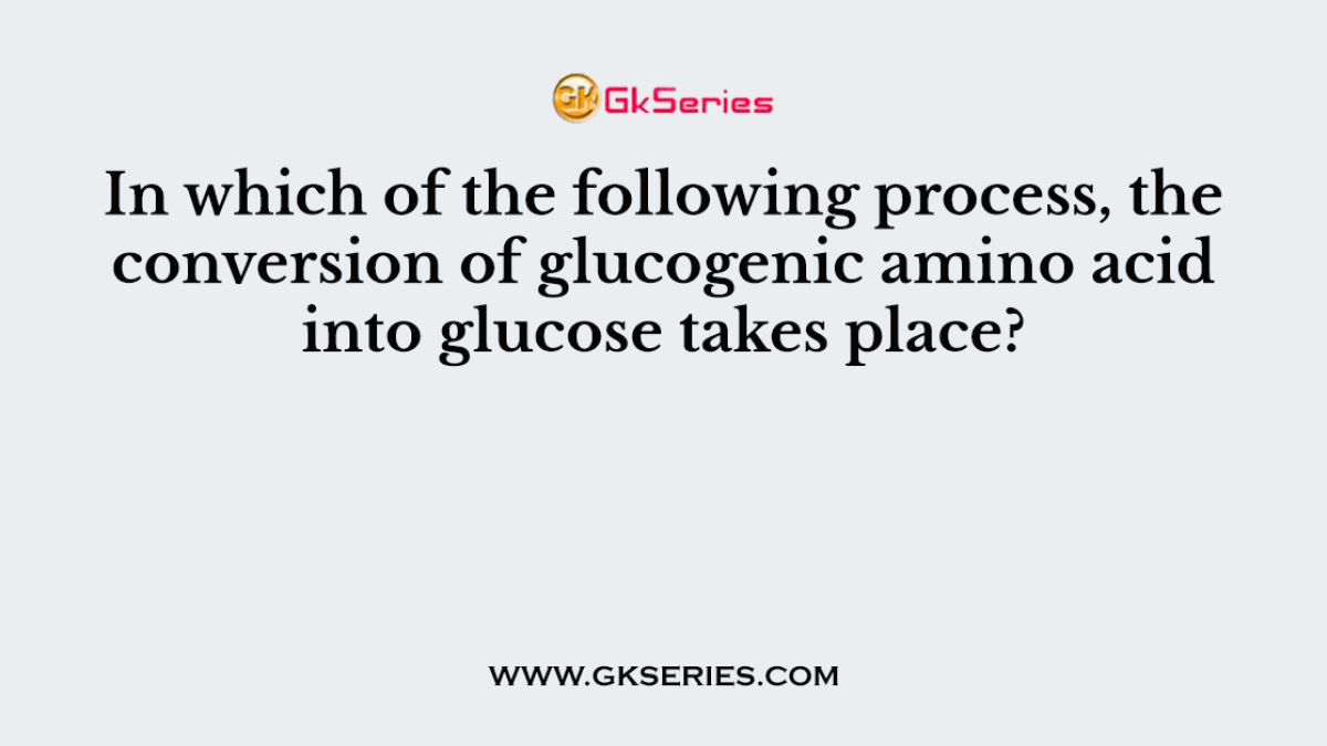 In which of the following process, the conversion of glucogenic amino acid into glucose takes place?