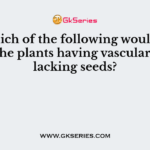 In which of the following would you place the plants having vascular tissue, lacking seeds?