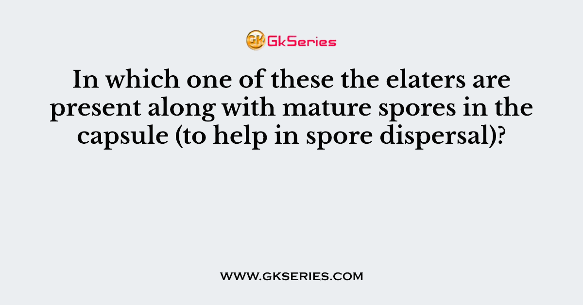 In which one of these the elaters are present along with mature spores in the capsule (to help in spore dispersal)?