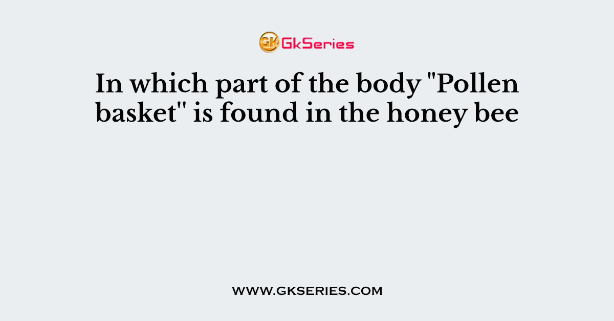 In which part of the body "Pollen basket'' is found in the honey bee