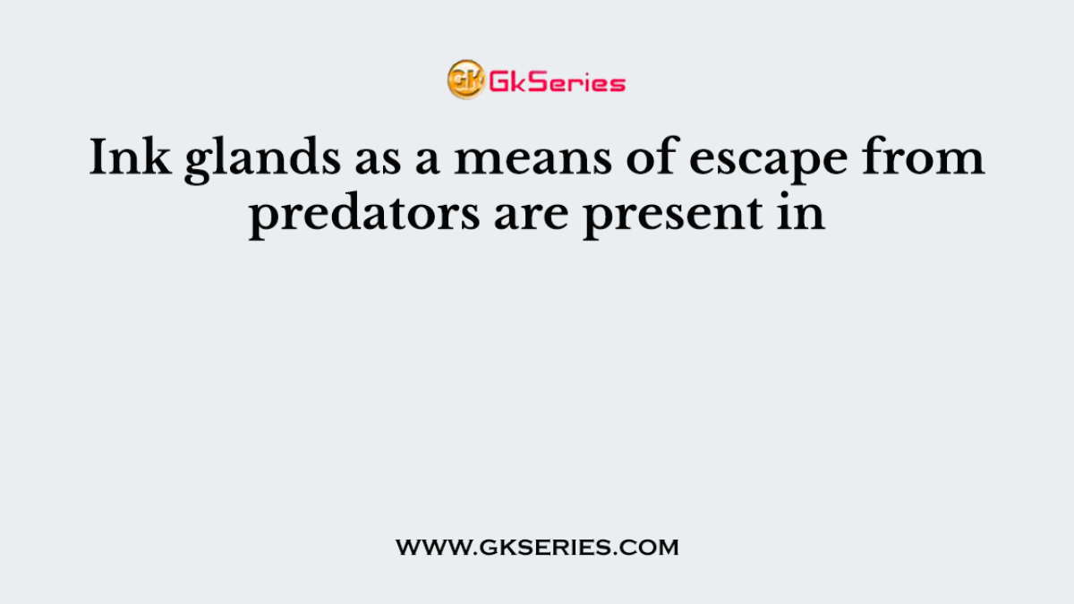 Ink glands as a means of escape from predators are present in