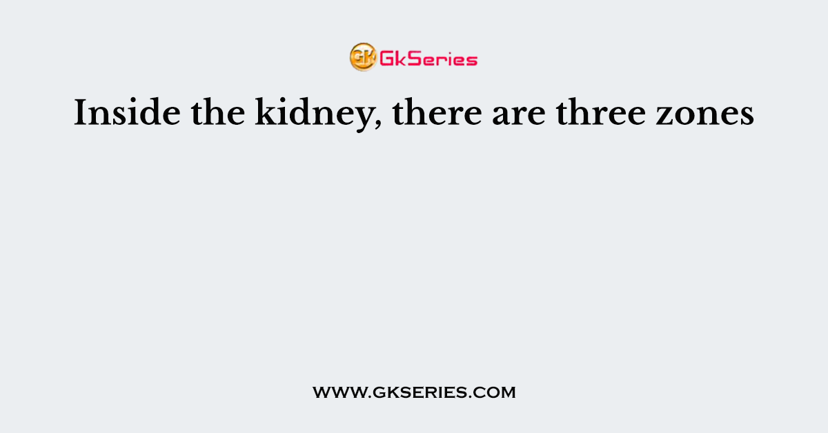 Inside the kidney, there are three zones