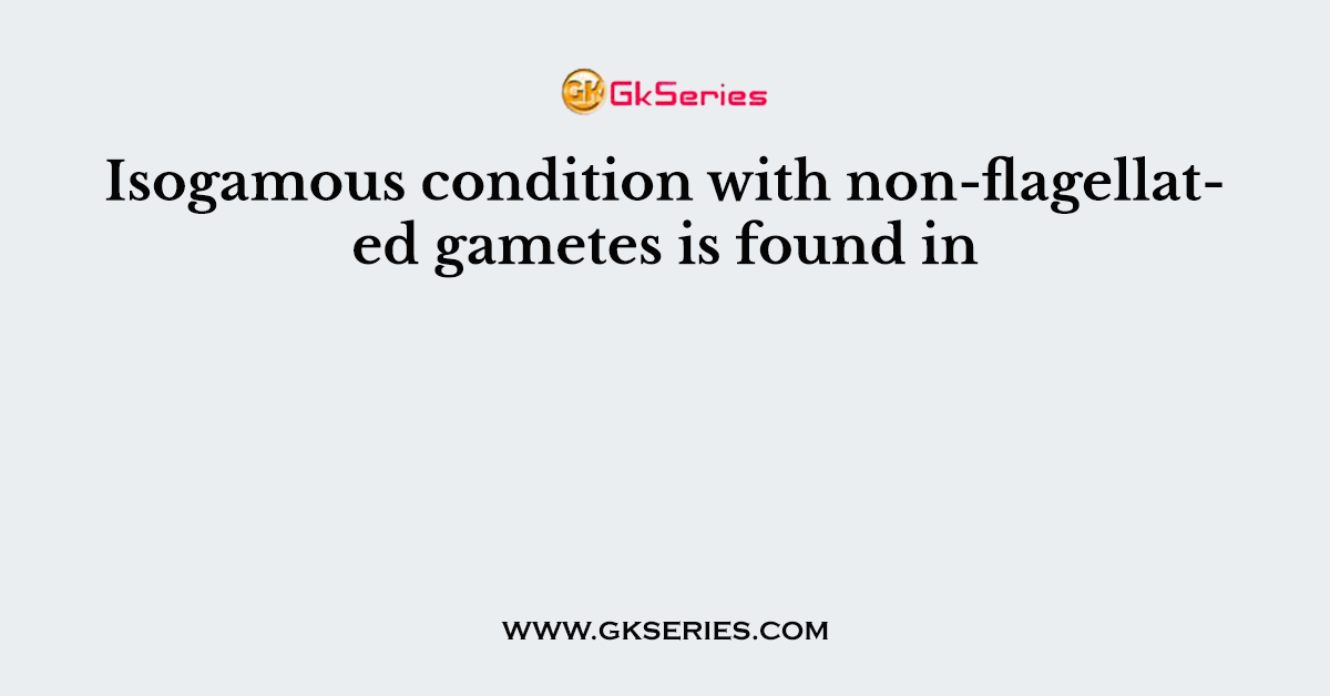 Isogamous condition with non-flagellated gametes is found in