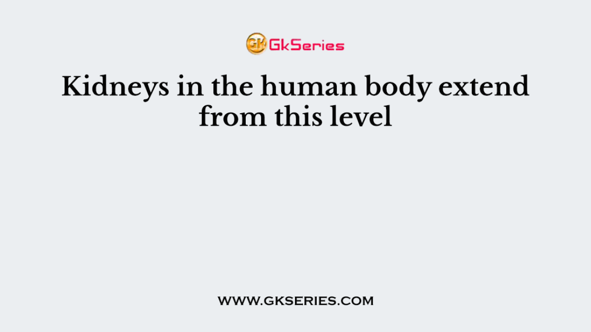 Kidneys in the human body extend from this level