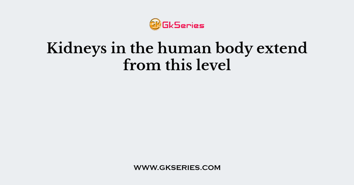 Kidneys in the human body extend from this level