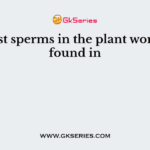 Largest sperms in the plant world are found in