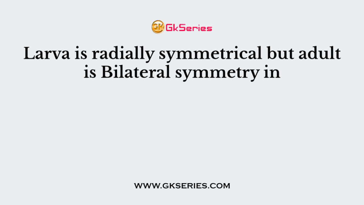 Larva is radially symmetrical but adult is Bilateral symmetry in