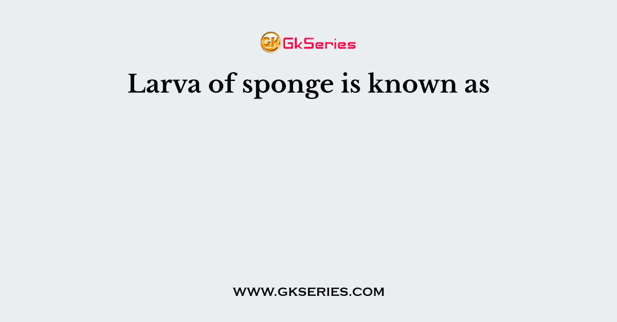 Larva of sponge is known as