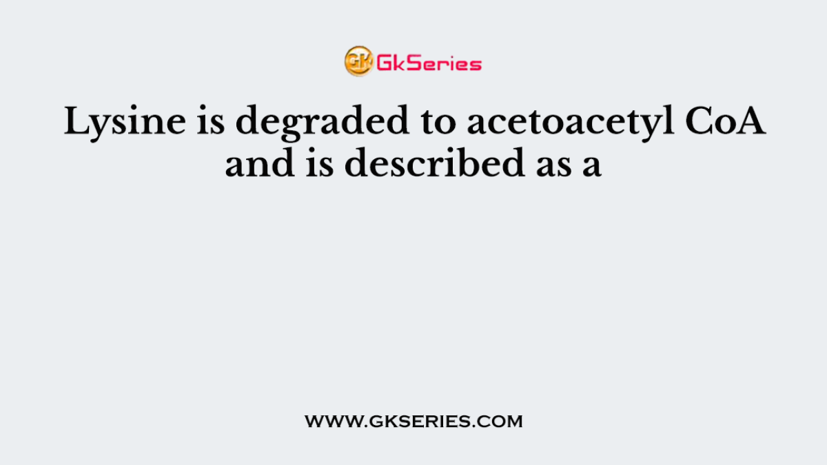 Lysine is degraded to acetoacetyl CoA and is described as a