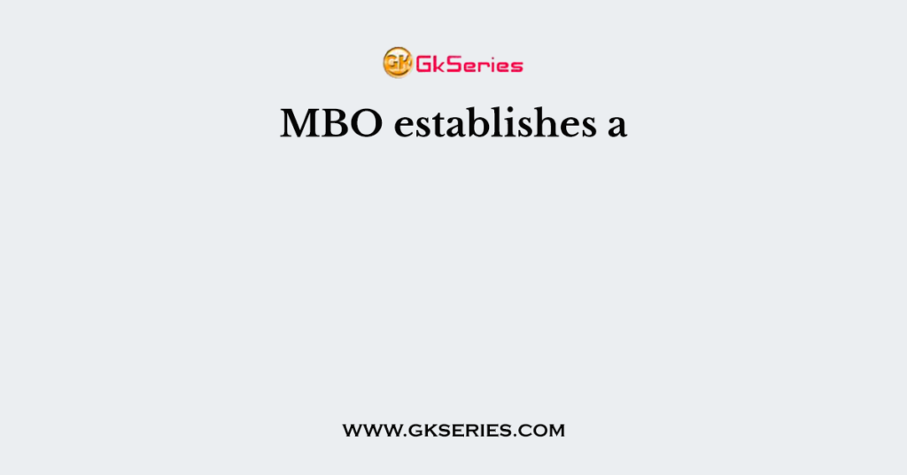 MBO establishes a