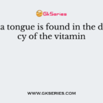 Magenta tongue is found in the deficiency of the vitamin