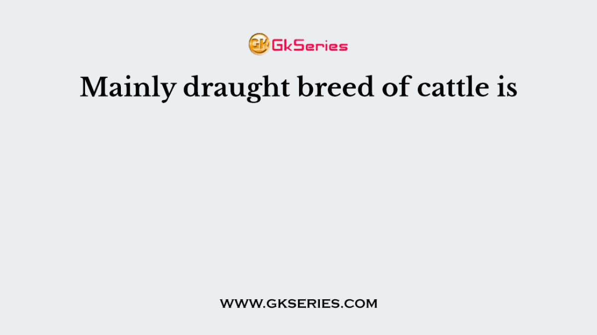 Mainly draught breed of cattle is