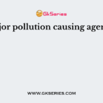 Major pollution causing agent is