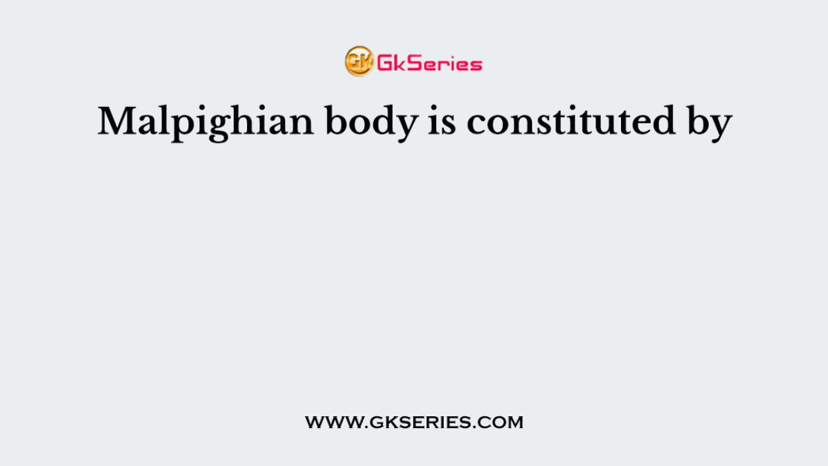Malpighian body is constituted by